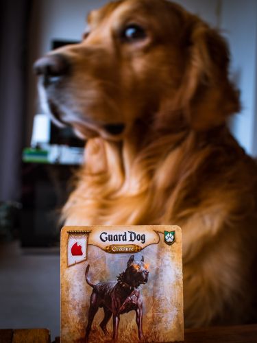 Board Game: Res Arcana