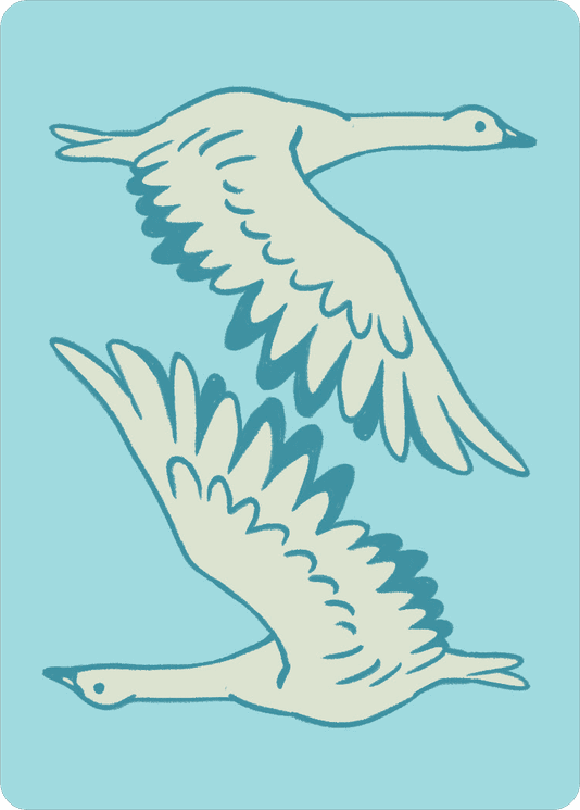 Illustration 3 de Flockers