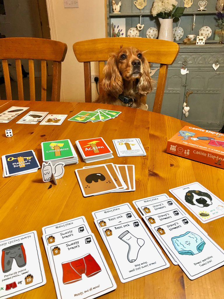 Illustration 1 de Canine Kleptomaniacs