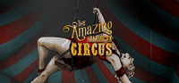 Video Game: The Amazing American Circus