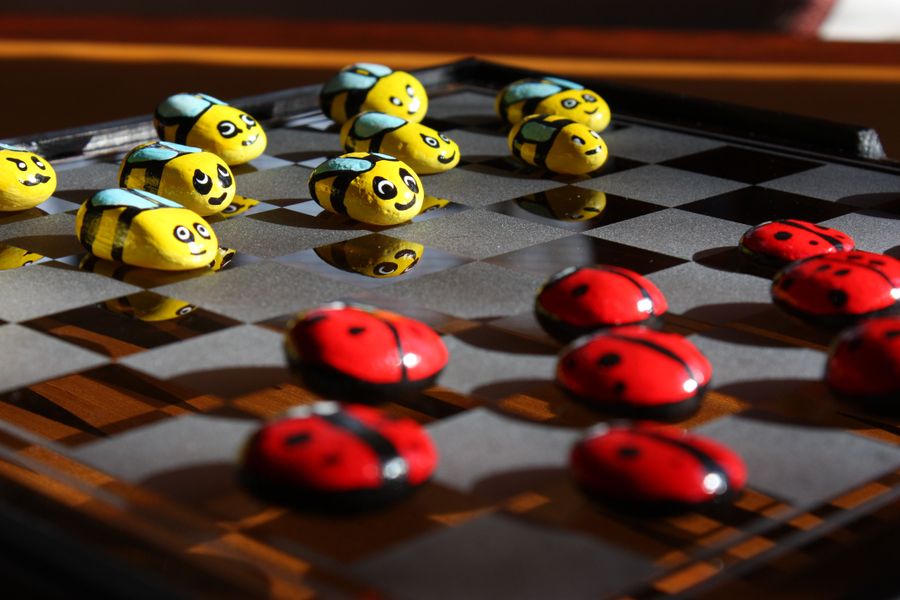 Rockin' Checkers Board Game with Hand Painted Rocks Board Games Toys