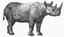 Character: Rhinoceros (Generic)
