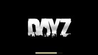 Video Game: DayZ