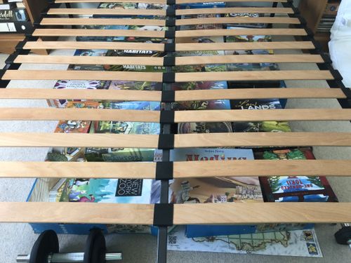 From gallery of CarolineBlack