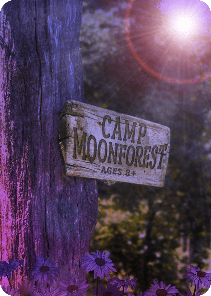 Camp Moonforest box art