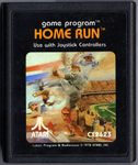 Video Game: Home Run