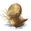 Character: Carrion Crawler