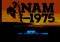 Video Game: NAM-1975
