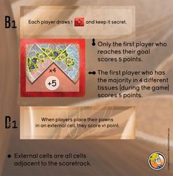 Microworld: BoardGameGeek Promo 1