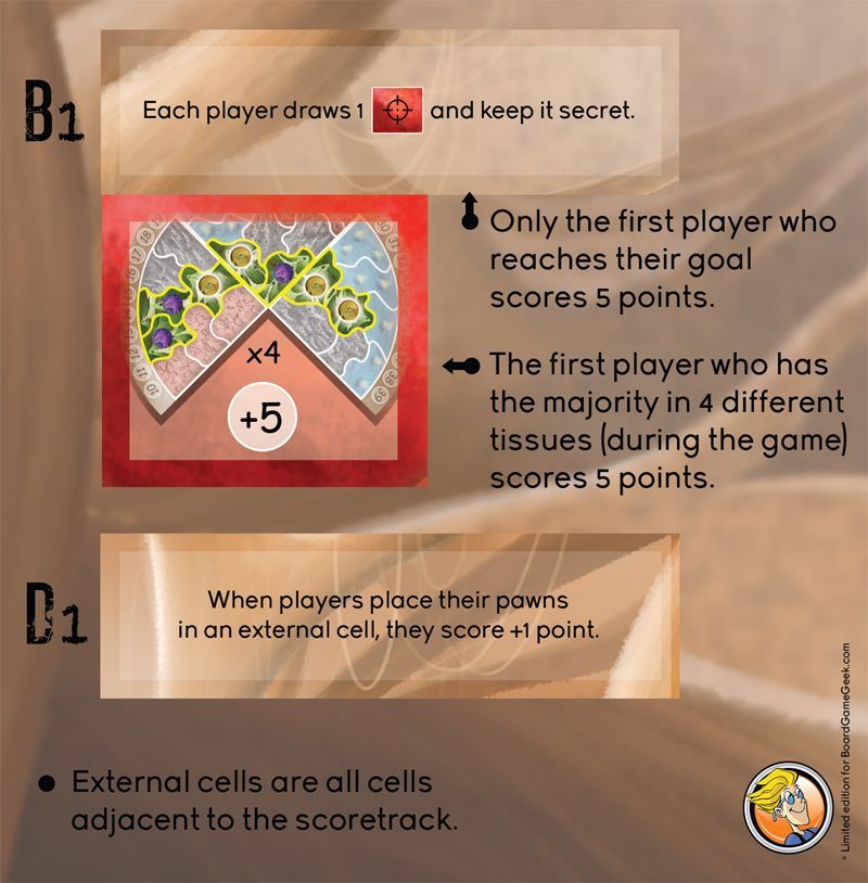 Microworld: BoardGameGeek Promo 1 cover art