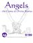 RPG Item: Angels: the Game of Divine Stories
