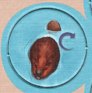 Whitewater: Cranky Beavers