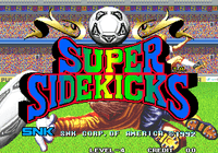 Video Game: Super Sidekicks