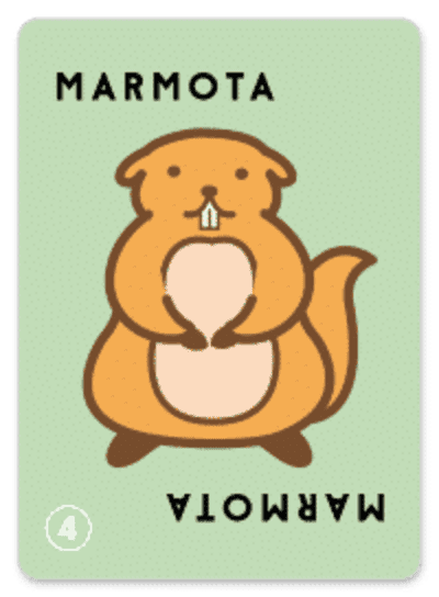 Taco Gato Cabra Queijo Pizza: Carta Especial Marmota 4