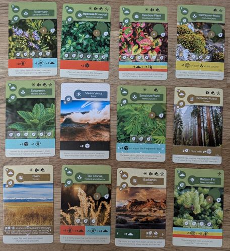 Earth Review | Silver Duck Reviews | BoardGameGeek