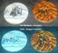 Board Game: Terra Mystica: Fire & Ice