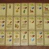 The wealth tiles