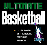 Video Game: Ultimate Basketball