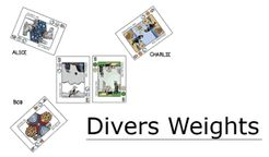 Divers Weights