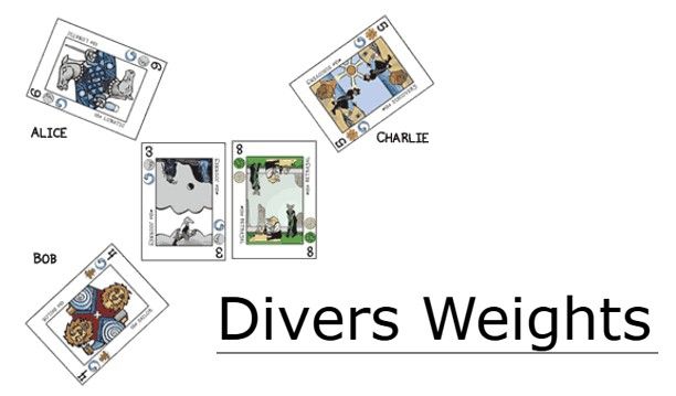 Divers Weights