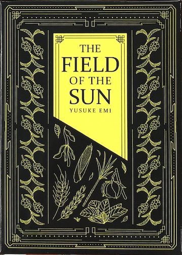 The Field of the Sun
