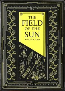 The Field of the Sun