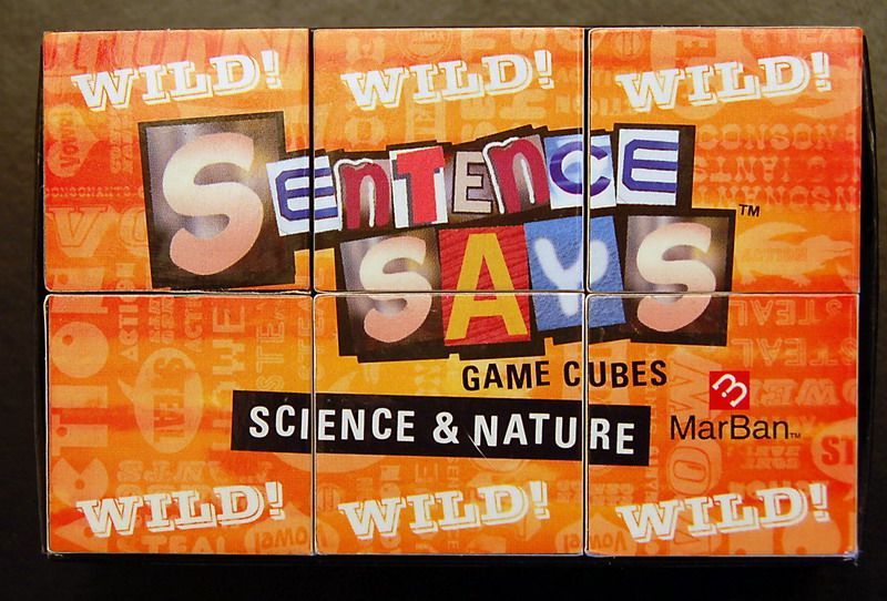 Sentence Says Dice Edition