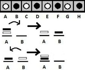 Tic Tac Row