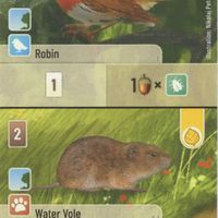 Forest Shuffle: Robin / Water Vole Promo Card