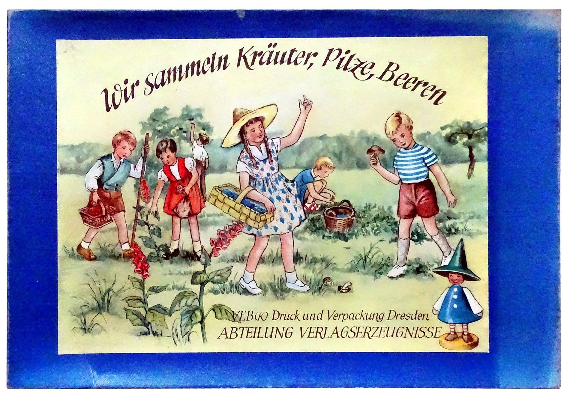 Wir sammeln Kräuter, Pilze, Beeren