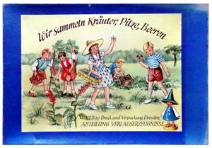 Wir sammeln Kräuter, Pilze, Beeren