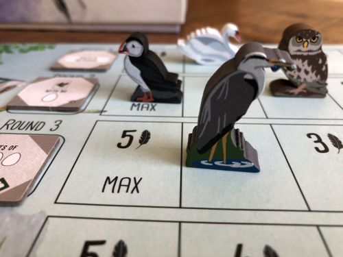 From gallery of CarolineBlack