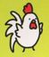 Character: White Rooster