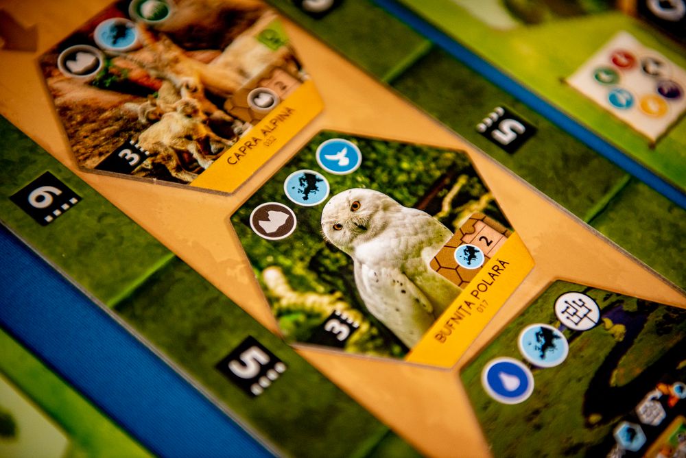 Sanctuary @ BoardGameColors