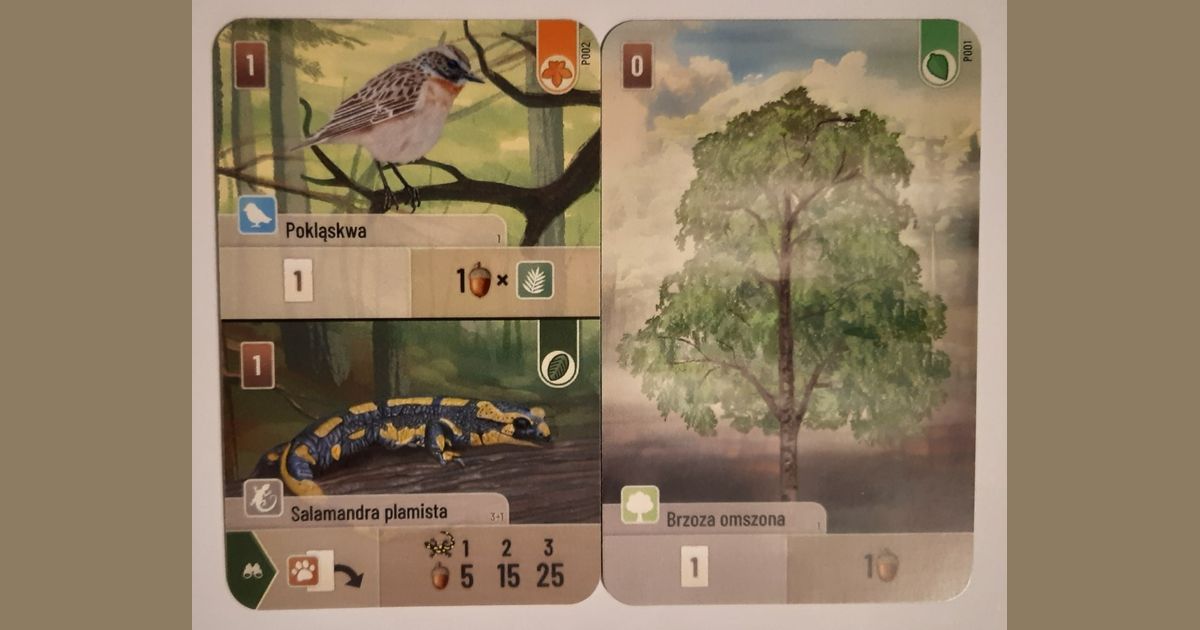 Cartes Forest Cards /LOAD - Miniature Pour Jeu De Société - Modèle G559 - Occasion