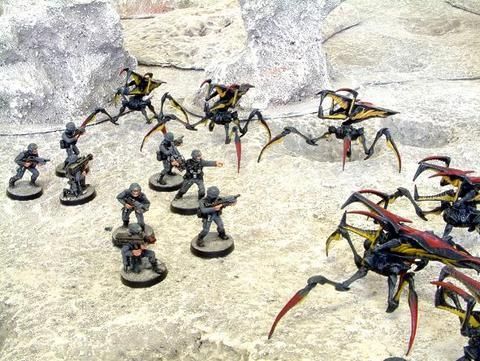 Starship Troopers Evolution cover