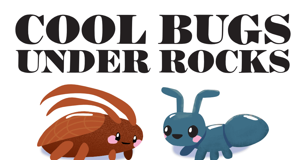 Cool Bugs Under Rocks | Board Game | BoardGameGeek