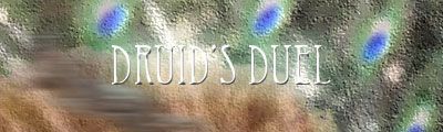 Druid's Duel cover art