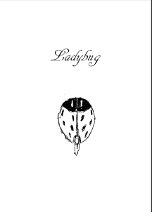 Ladybug cover art