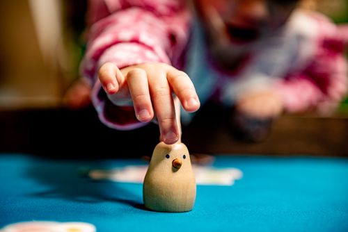 Bidibirdy @ BoardGameColors