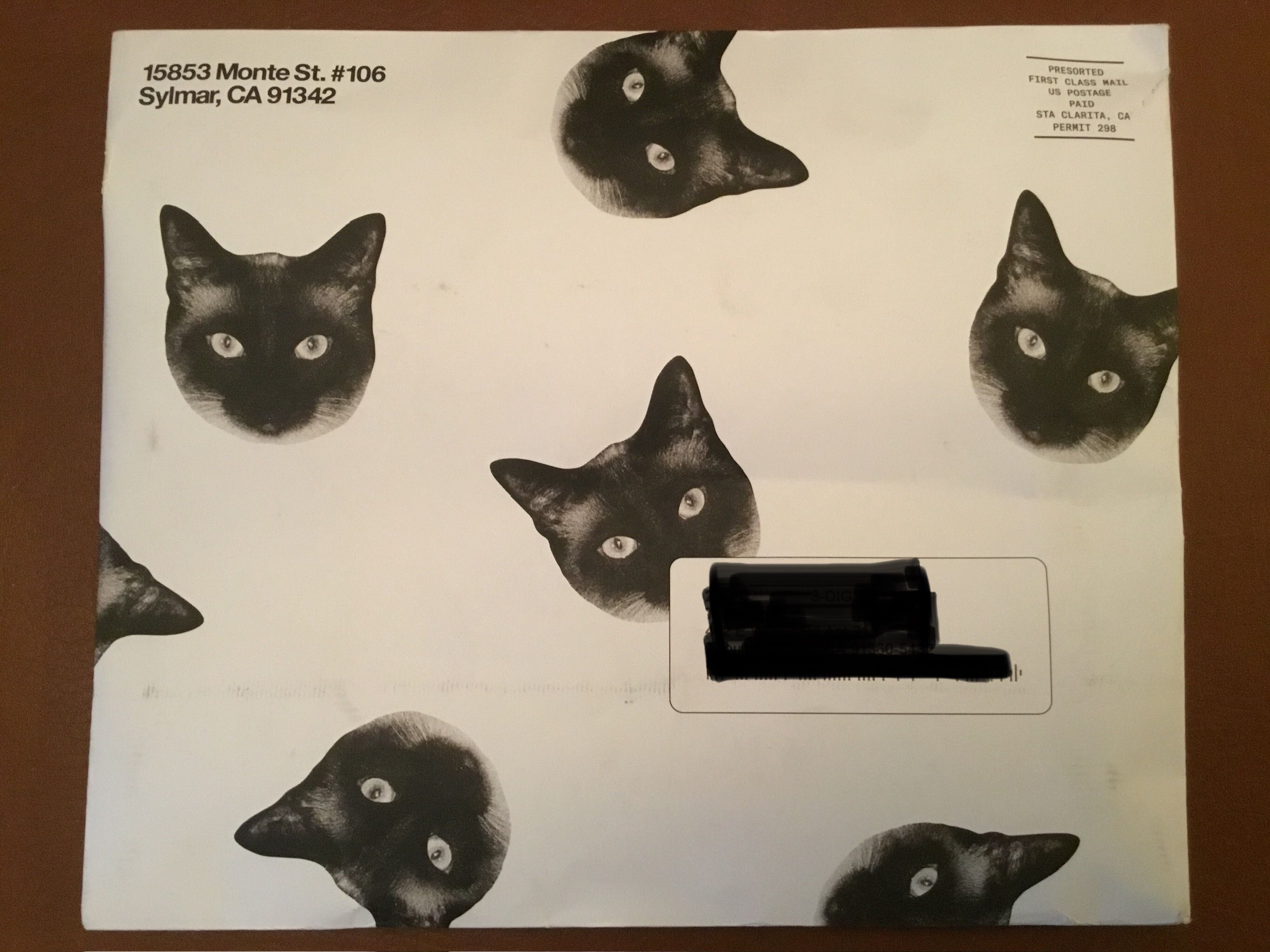 Cards Against Humanity: Pussy Pack