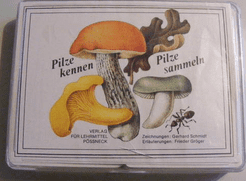 Pilze kennen Pilze sammeln