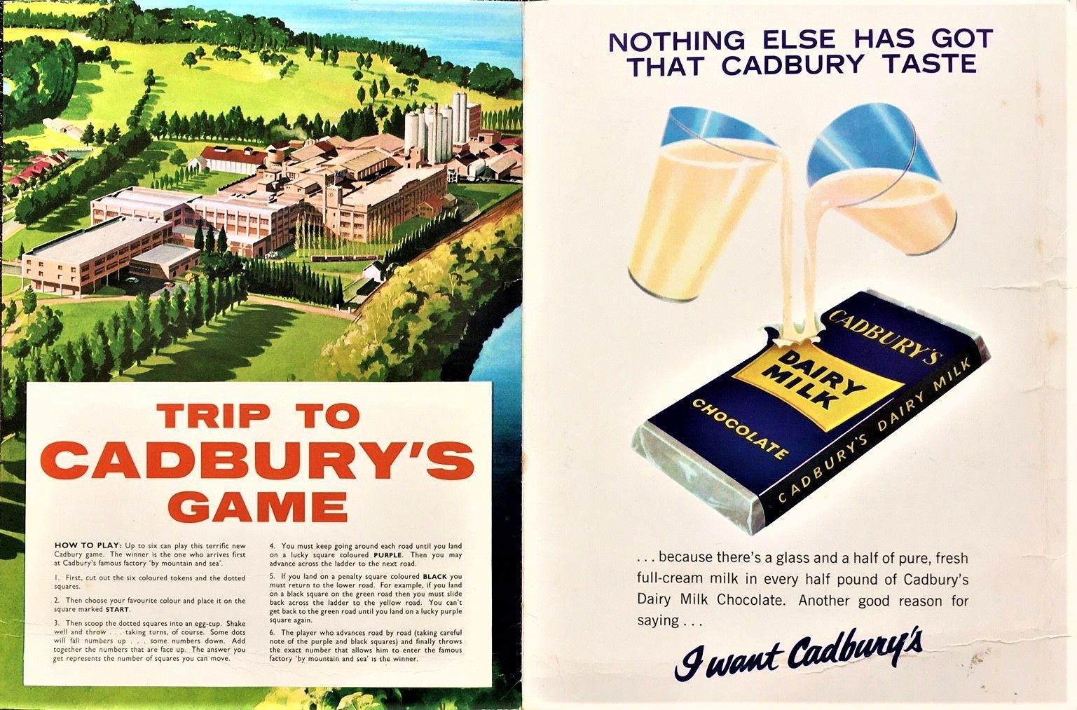 Trip to Cadbury's Game