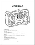Cellular