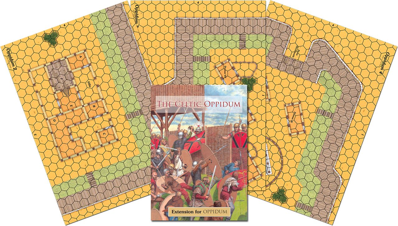 The Celtic Oppidum