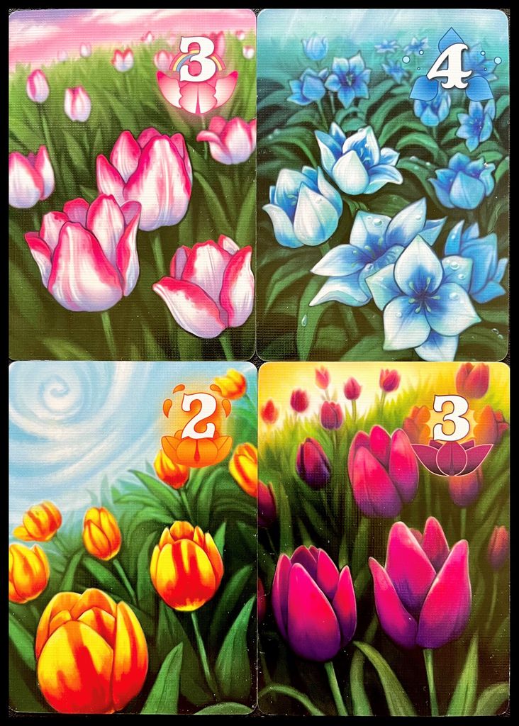 Illustration 10 de Gift of Tulips: Ribbons