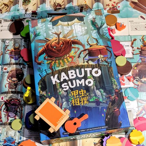 Kabuto Sumo Beetle Battles Kabuto Sumo