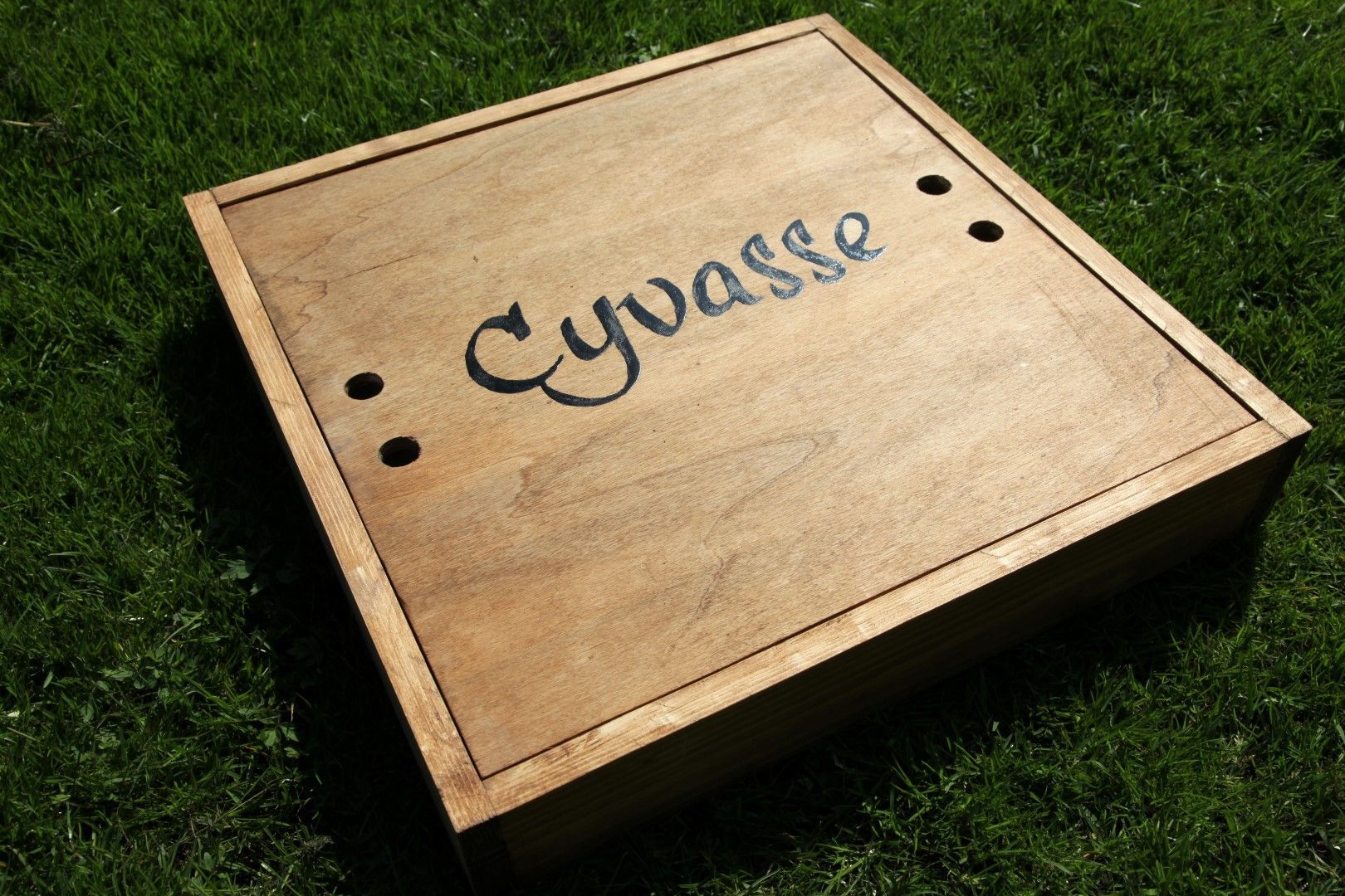 Cyvasse