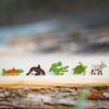Summit Edition - Screen-printed wildlife tokens
