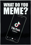 What Do You Meme?: TikTok Edition (2020)
